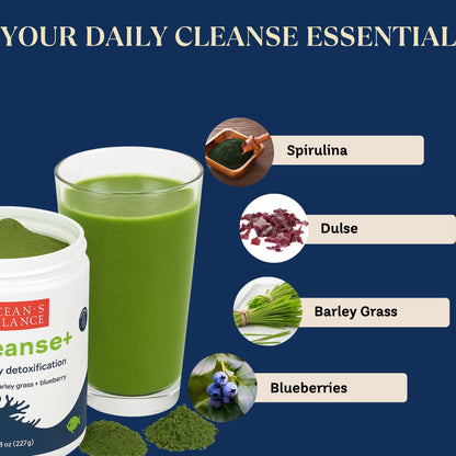 Ocean's Balance Seacleanse+ Daily Detox Powder – Gut Health & Immune Support | 8oz