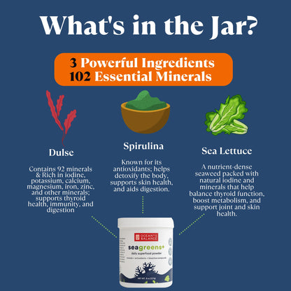 Ocean's Balance Seagreens+ Daily Superfood Powder - Organic Seaweed Greens