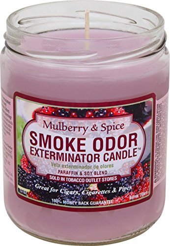 Odor Exterminator Candle Mulberry and Spice 13oz – Smokers Candle