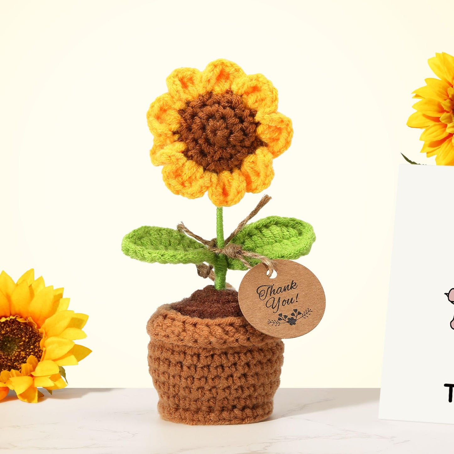 Chaos Coordinator Gifts for Women – Thank You Gifts for Coworkers & Boss Lady