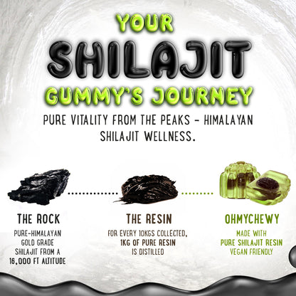 OH MY CHEWY Himalayan Shilajit Gummies - High Potency Gold-Grade Resin | Energy & Immune Support