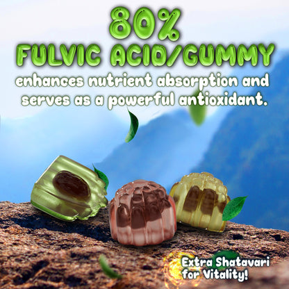OH MY CHEWY Himalayan Shilajit Gummies - High Potency Gold-Grade Resin | Energy & Immune Support