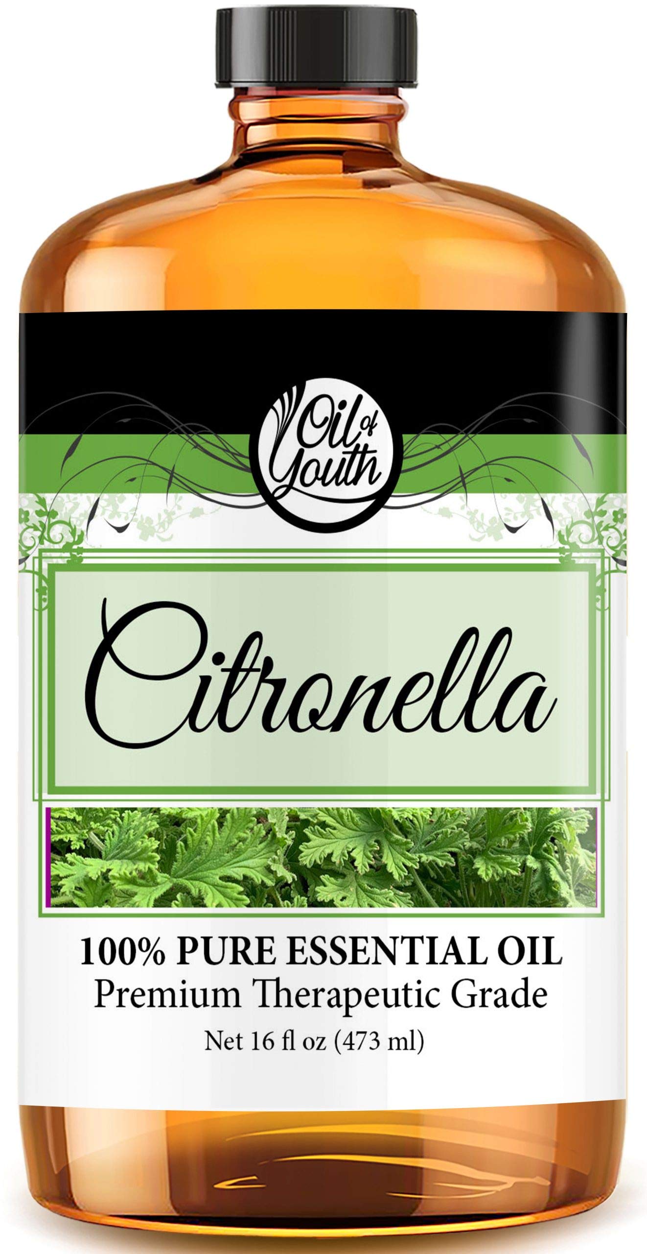 Oil of Youth Citronella Essential Oil (16oz Bulk) – Pure Aromatherapy for Relaxation, Mood, Diffusers & Candles