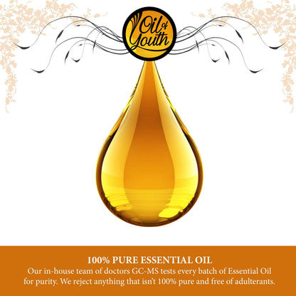 Oil of Youth Clary Sage Essential Oil – 16oz Bulk | Therapeutic Grade, Pure & USA-Bottled