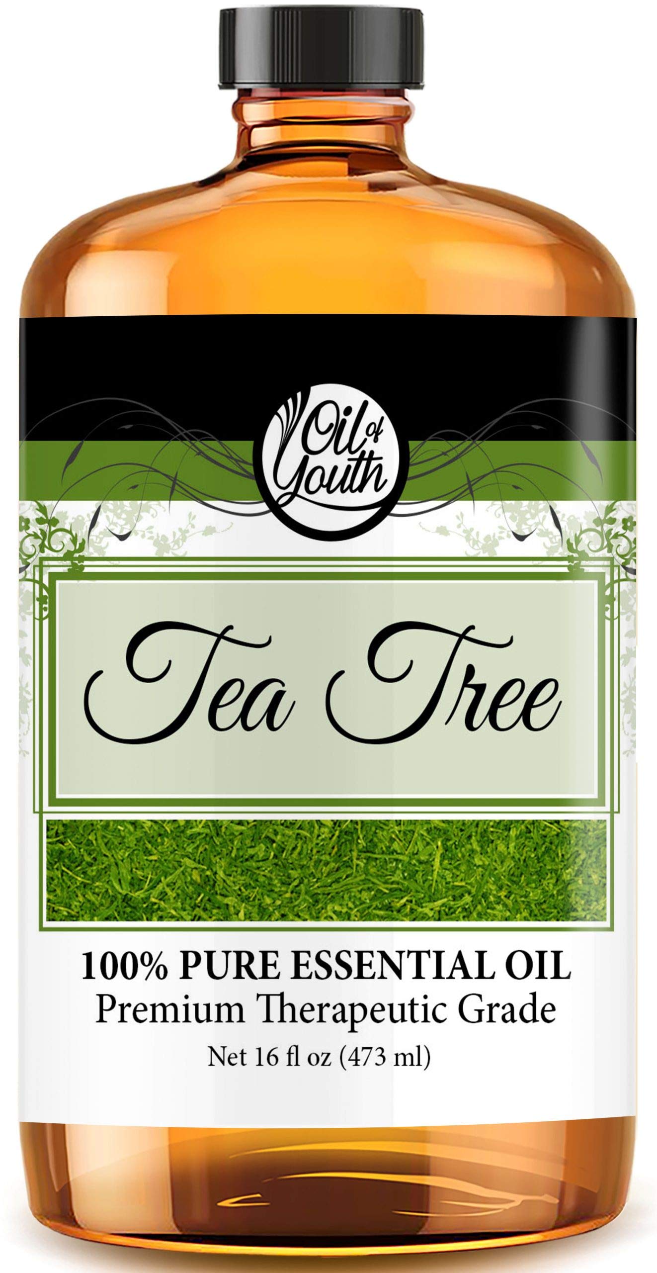 Oil of Youth Tea Tree Essential Oil 16oz Bulk – Pure Therapeutic Grade