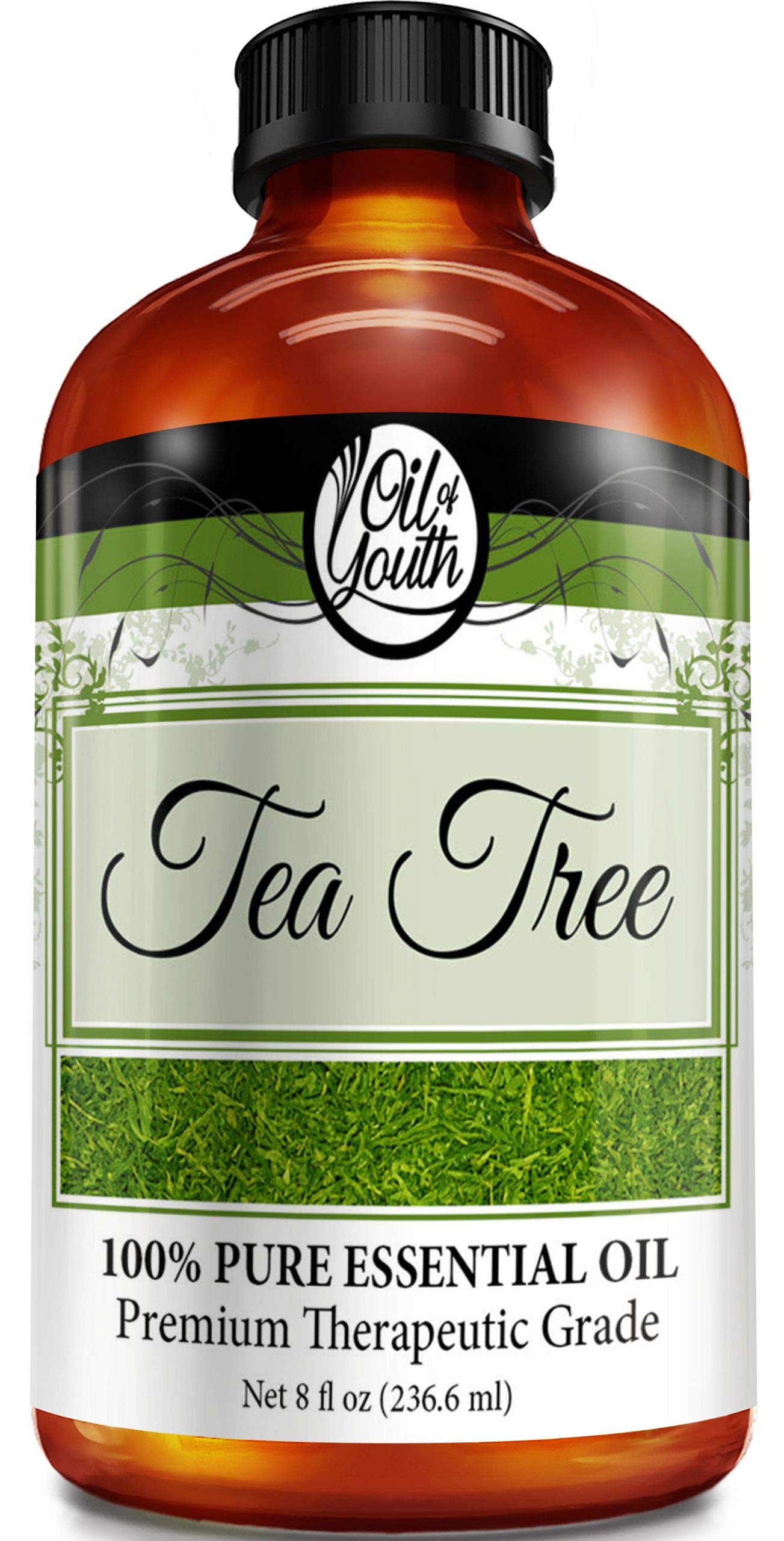 Oil of Youth Tea Tree Essential Oil - 8 Fl Oz Bulk | Pure, Diffuser-Quality