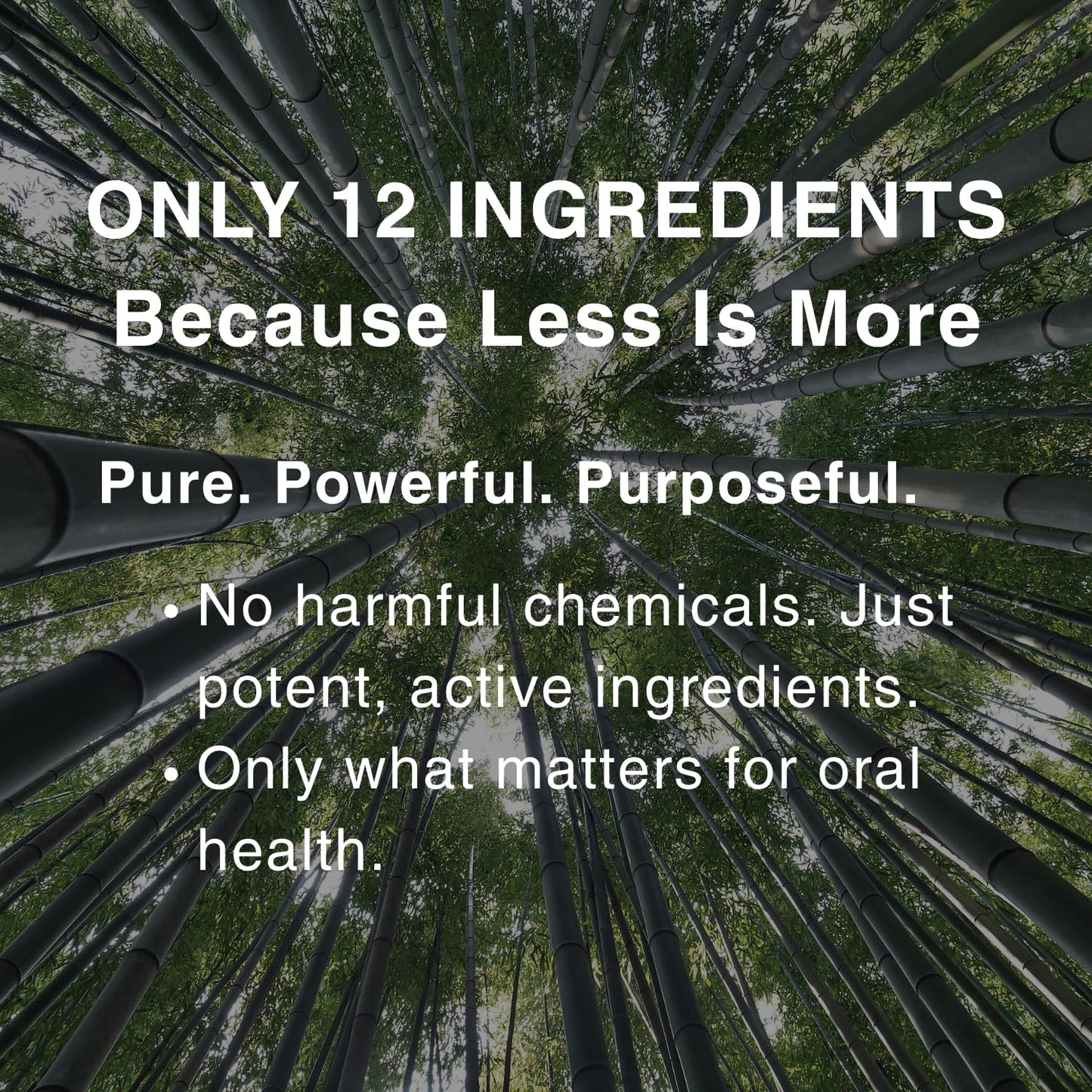 OJOOK Bamboo Salt Toothpaste with nHA – Fluoride Free, Whitening, Remineralizing, Peppermint & Pine | 3 oz