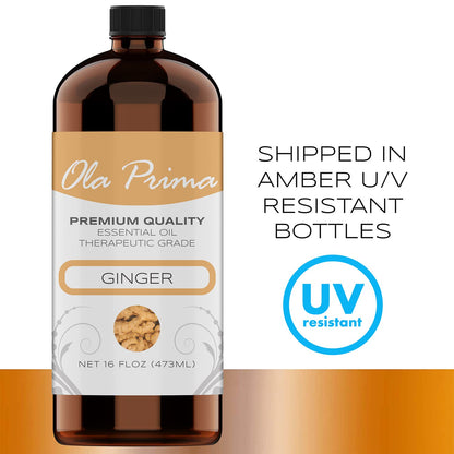 Ola Prima Ginger Essential Oil (16 oz Bulk) – Therapeutic Grade for Aromatherapy, Diffusers, Cleaning, Lotions, Bath Bombs, Scrubs, & Candles