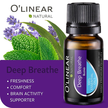 O'linear Essential Oils 6 Blends Set – Diffuser Oils for Humidifiers and Aromatherapy