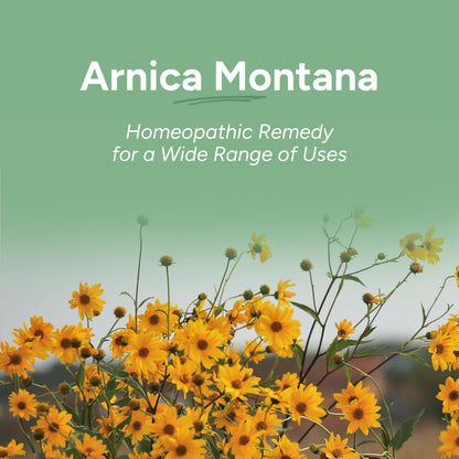 OLLOIS Arnica Montana 30x Organic Lactose-Free – Homeopathic Medicine, 80 Pellets