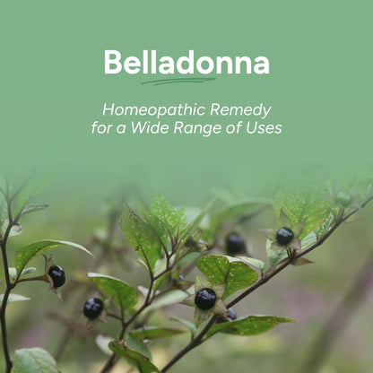 OLLOIS Belladonna 30C Organic Homeopathic Medicine – Lactose-Free, Kosher, 80 Pellets (Pack of 3)