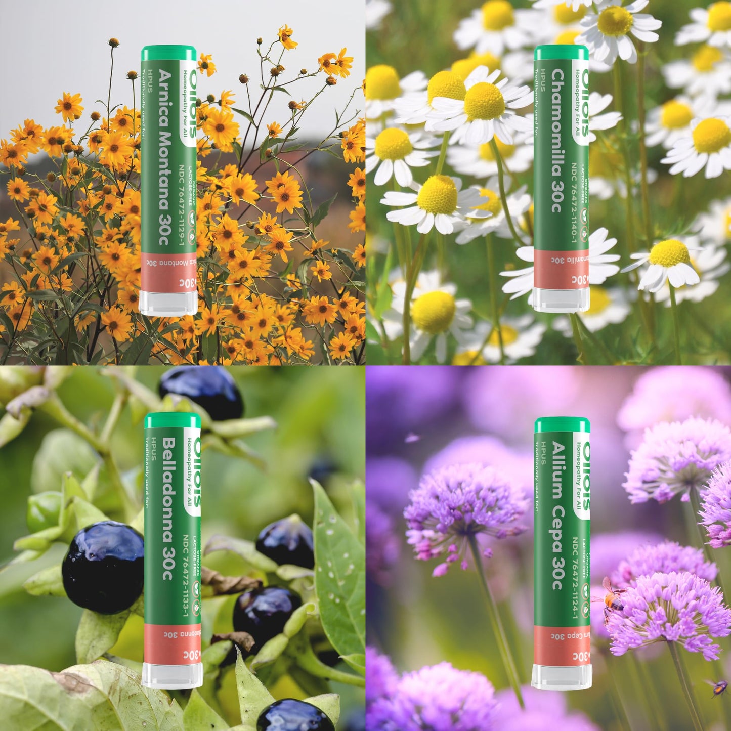 OLLOIS Organic Homeopathic Medicine Starter Kit – Lactose-Free (20 Pack)