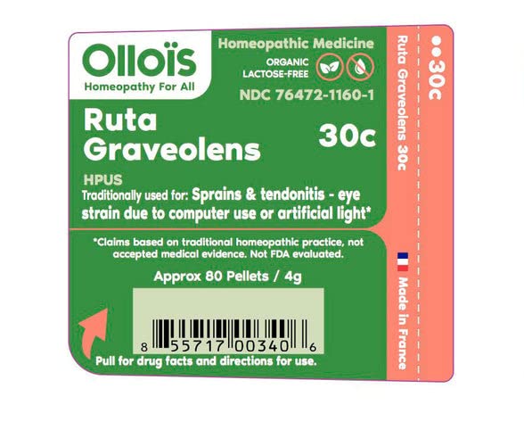 OLLOIS Ruta Graveolens 30c Organic – Lactose-Free, Kosher Homeopathic Medicine, 80 Pellets (Pack of 3)