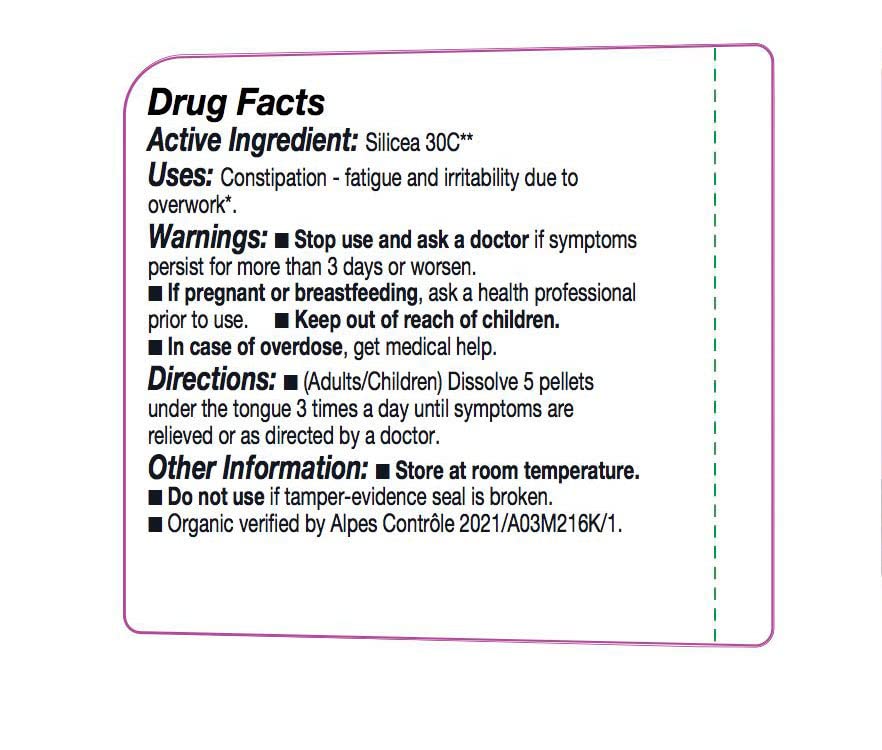 OLLOIS Silicea 30C Organic Lactose-Free Homeopathic Medicine – 80 Pellets
