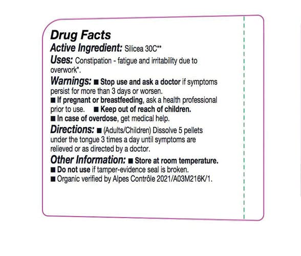 OLLOIS Silicea 30c Organic – Lactose-Free, Kosher Homeopathic Medicine (80 Pellets, Pack of 3)