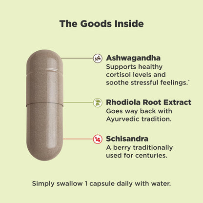 OLLY Chill Adaptogen – Ashwagandha, Rhodiola & Schisandra Mood Support (30 Ct)