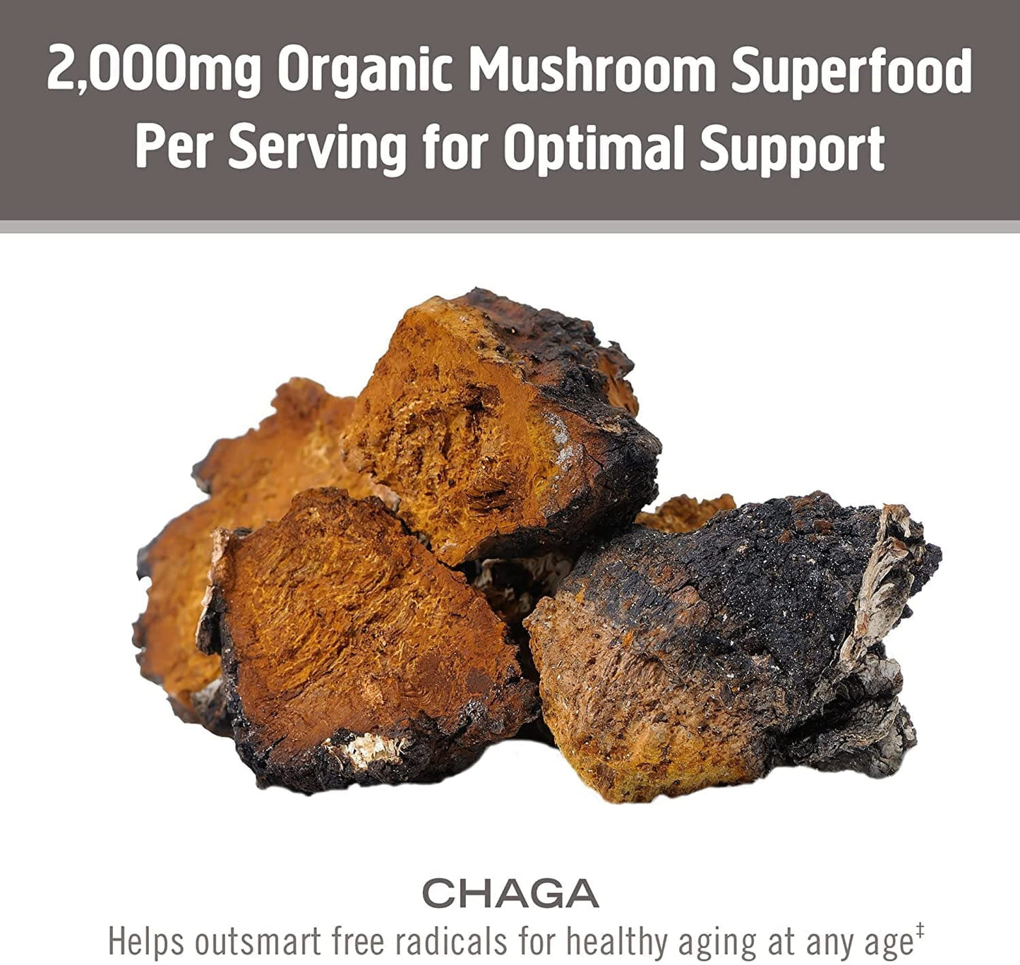 Om Mushroom Superfood Chaga Organic Mushroom Powder – 3.5 oz, 50 Servings, USA Grown | Antioxidants & Immune Support
