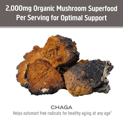 Om Mushroom Superfood Chaga Organic Mushroom Powder – 3.5 oz, 50 Servings, USA Grown | Antioxidants & Immune Support