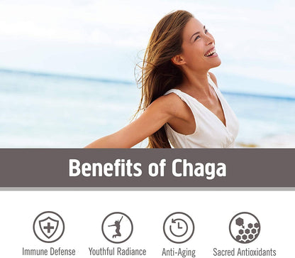 Om Mushroom Superfood Chaga Organic Mushroom Powder – 3.5 oz, 50 Servings, USA Grown | Antioxidants & Immune Support