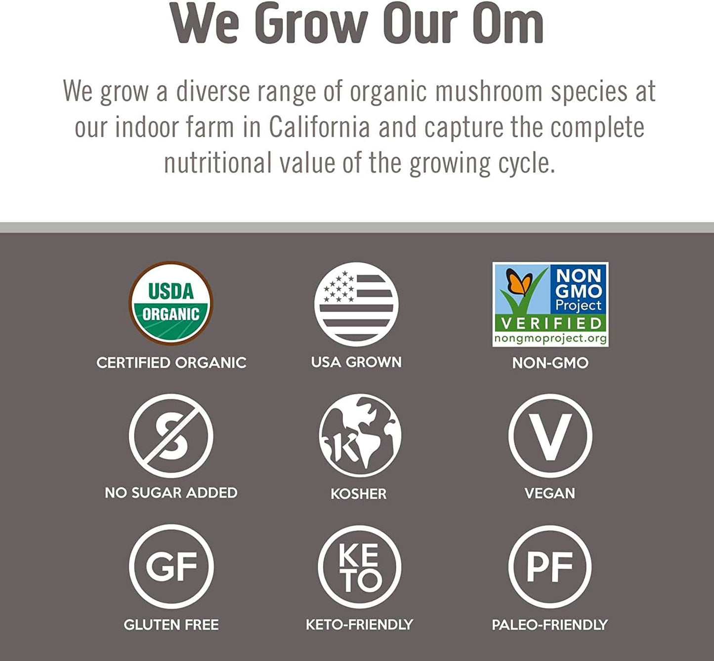 Om Mushroom Superfood Chaga Organic Mushroom Powder – 3.5 oz, 50 Servings, USA Grown | Antioxidants & Immune Support