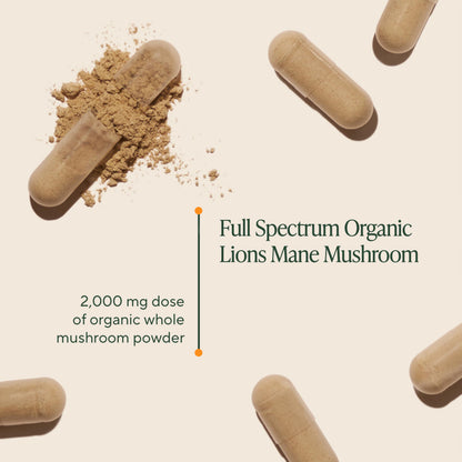 Om Lion’s Mane Mushroom Capsules – Organic Nootropic for Memory & Focus | 90 Count (30 Servings)