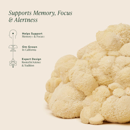 Om Lion’s Mane Mushroom Capsules – Organic Nootropic for Memory & Focus | 90 Count (30 Servings)