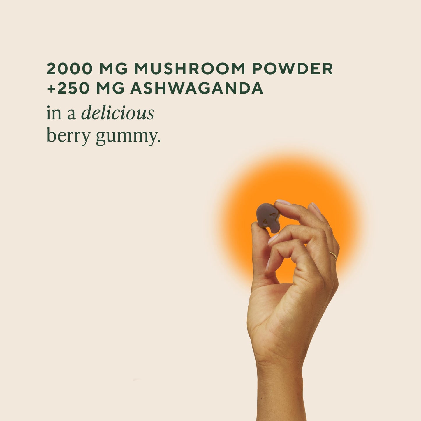 OM Master Blend Mushroom Gummies – Organic Mushrooms & Ashwagandha | 56 Count, Mixed Berry