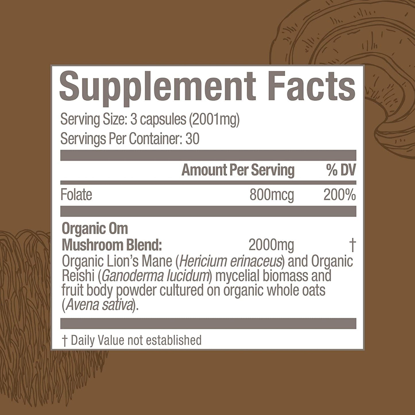 OM Mushroom Superfood Brain Fuel Capsules – Lion's Mane & Reishi Blend, 90 Count | Mental Clarity & Nerve Support