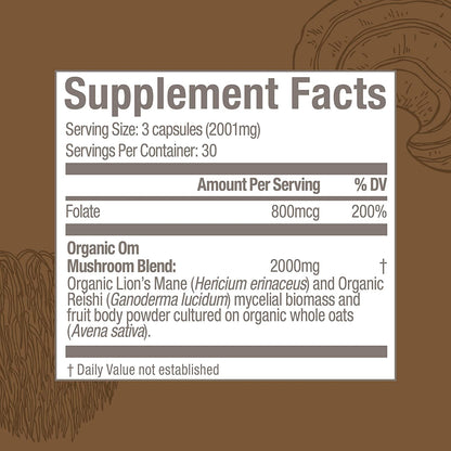 OM Mushroom Superfood Brain Fuel Capsules – Lion's Mane & Reishi Blend, 90 Count | Mental Clarity & Nerve Support