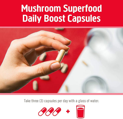 Om Mushroom Immune Defense – Vegan Capsule Supplement (90 Count)