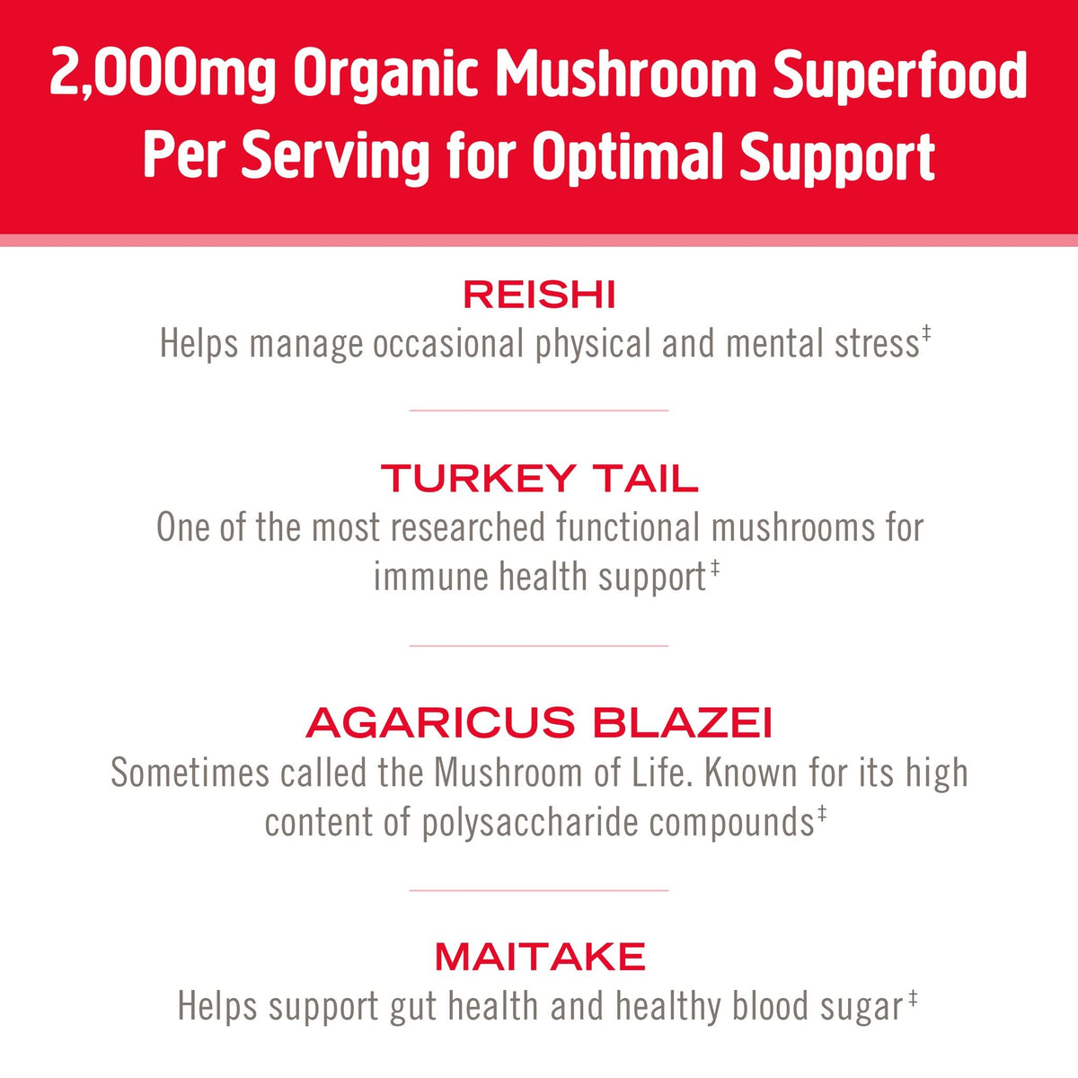 OM Mushroom Superfood Immune Blend Powder – 7.05 oz (100 Servings) Reishi & Turkey Tail BritishVita | Premium UK Vitamins & Wellness Supplements
