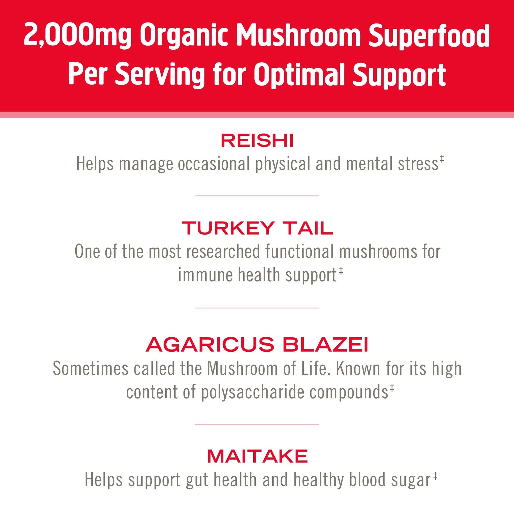 OM Mushroom Superfood Immune Blend Powder – 7.05 oz (100 Servings) Reishi & Turkey Tail BritishVita | Premium UK Vitamins & Wellness Supplements