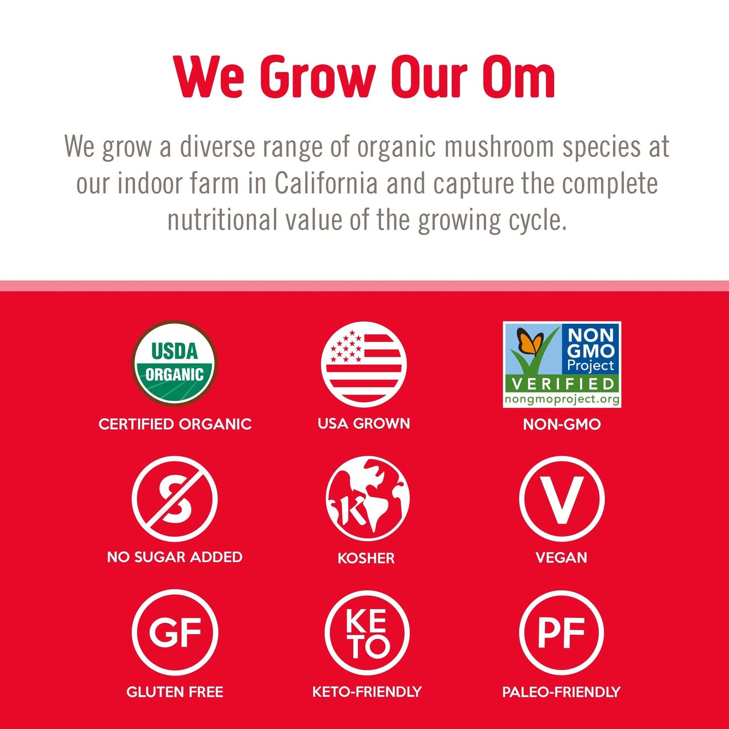 OM Mushroom Superfood Immune Blend Powder – 7.05 oz (100 Servings) Reishi & Turkey Tail BritishVita | Premium UK Vitamins & Wellness Supplements