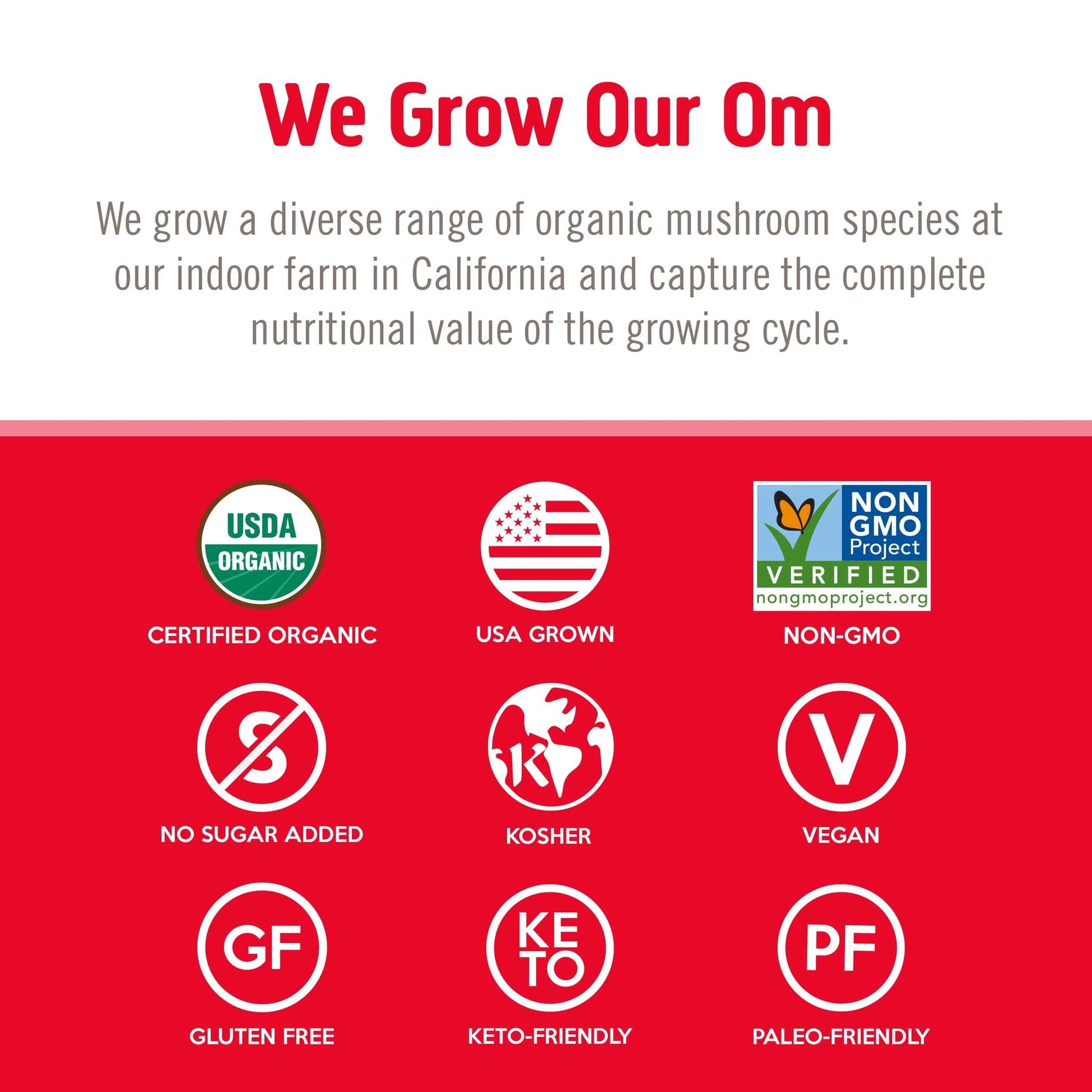OM Mushroom Superfood Immune Blend Powder – 7.05 oz (100 Servings) Reishi & Turkey Tail BritishVita | Premium UK Vitamins & Wellness Supplements