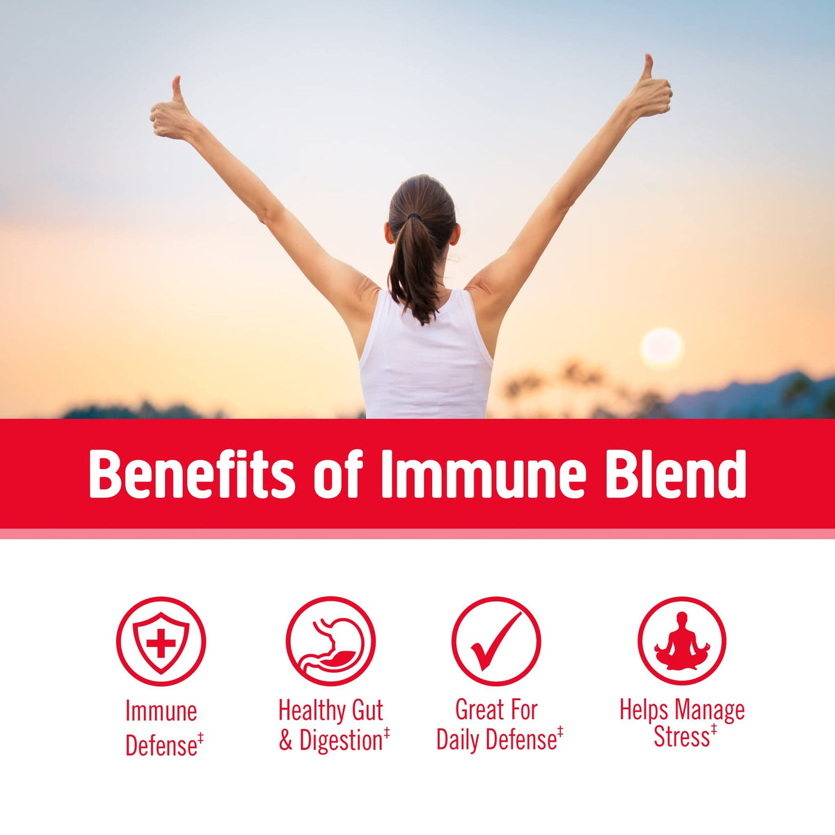 OM Mushroom Superfood Immune Blend Powder – 7.05 oz (100 Servings) Reishi & Turkey Tail BritishVita | Premium UK Vitamins & Wellness Supplements