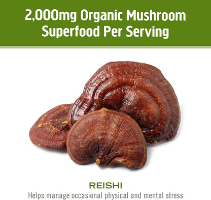 OM Mushroom Reishi Capsules - 90 Count, Organic Adaptogen for Stress & Immune Health