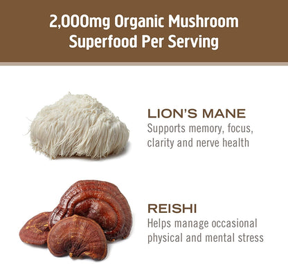 OM Mushroom Superfood Brain Fuel Capsules – Lion's Mane & Reishi Blend, 90 Count | Mental Clarity & Nerve Support