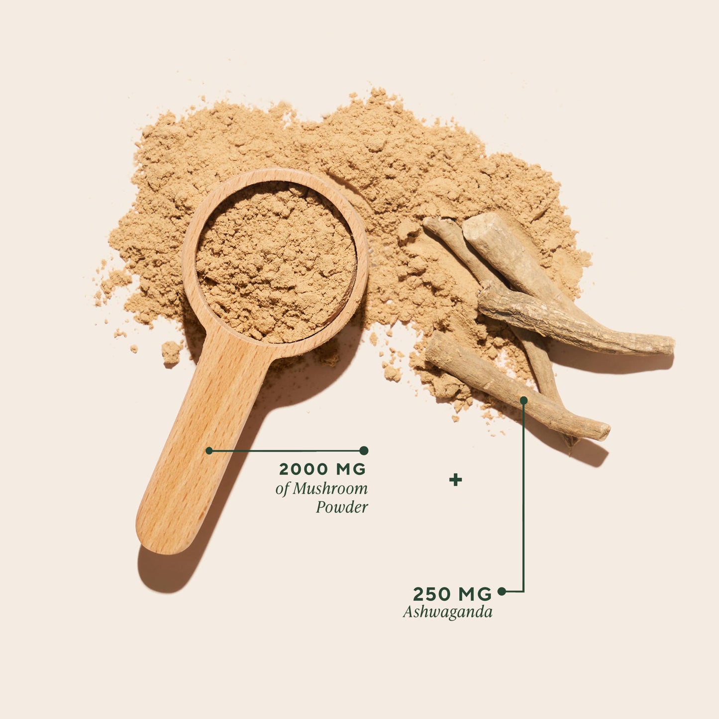 OM Mushrooms Master Blend Mushroom Powder – Organic 10 Mushrooms + Ashwagandha (6.34 oz, 80 Servings)