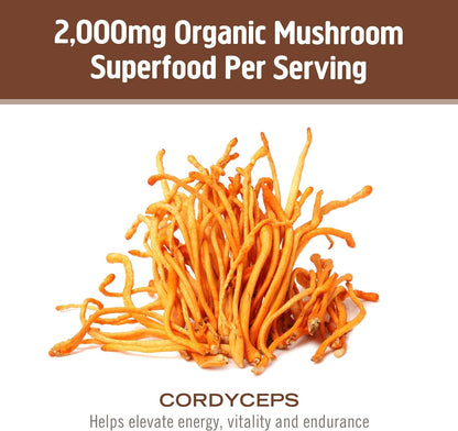 Cordyceps Organic Mushroom Powder | OM Mushroom Superfood – 3.5 oz, 50 Servings, Energy & Endurance
