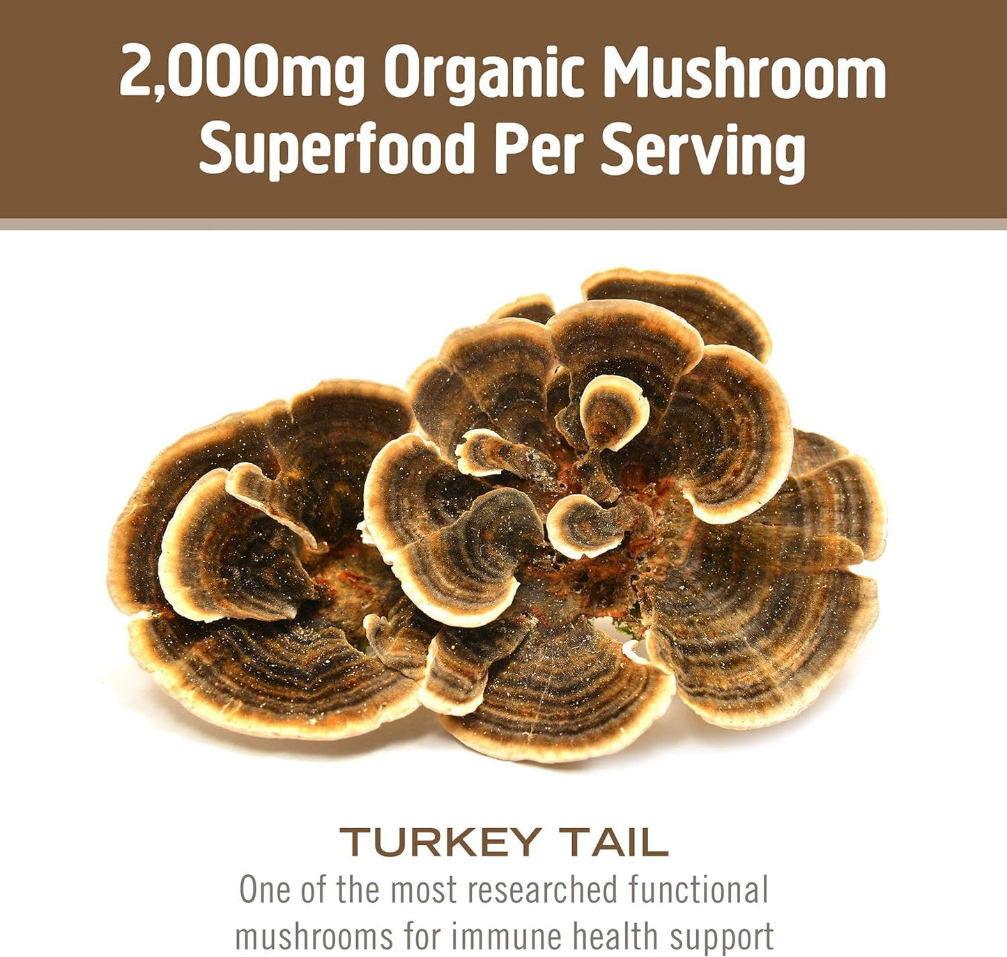 Om Mushroom Superfood Turkey Tail Organic Powder - 3.5 oz, 50 Servings | Immune Support