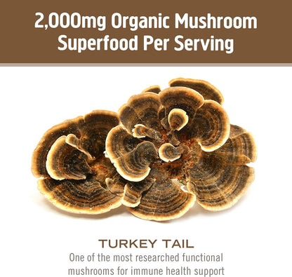 Om Mushroom Superfood Turkey Tail Organic Powder - 3.5 oz, 50 Servings | Immune Support