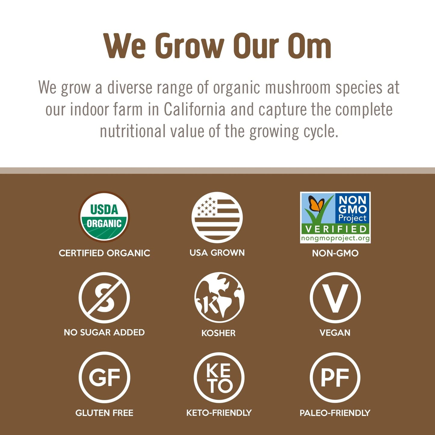 Om Mushroom Superfood Turkey Tail Organic Mushroom Powder – 7.05 oz, 100 Servings