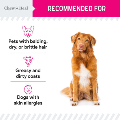 Omega 3 Dog Powder for Skin & Coat – 5.4 oz, Made in USA