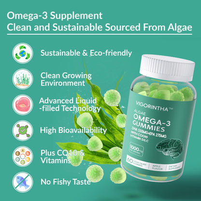 2 Pack Vegan Omega-3 Gummies with CoQ10 – Plant-Based DHA 550mg + EPA 275mg, Vitamin D3/E/C, Sugar Free, 120 Count