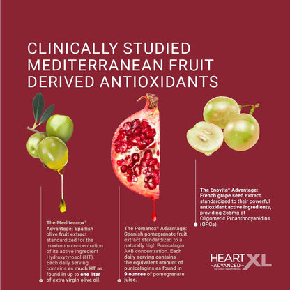 OmegaXL HeartXL Advanced - Heart Health Supplement (60 Capsules)