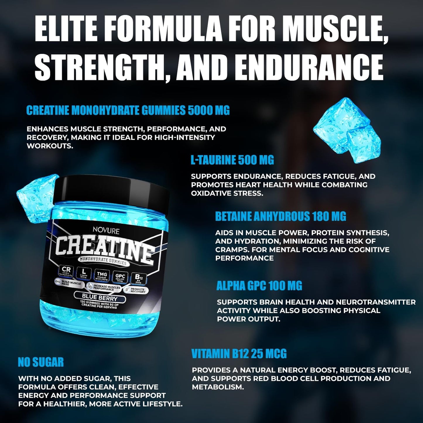 Creatine Monohydrate Gummies 5000mg – Vegan, Sugar-Free, Made in USA | 120 Gummies (30 Servings)