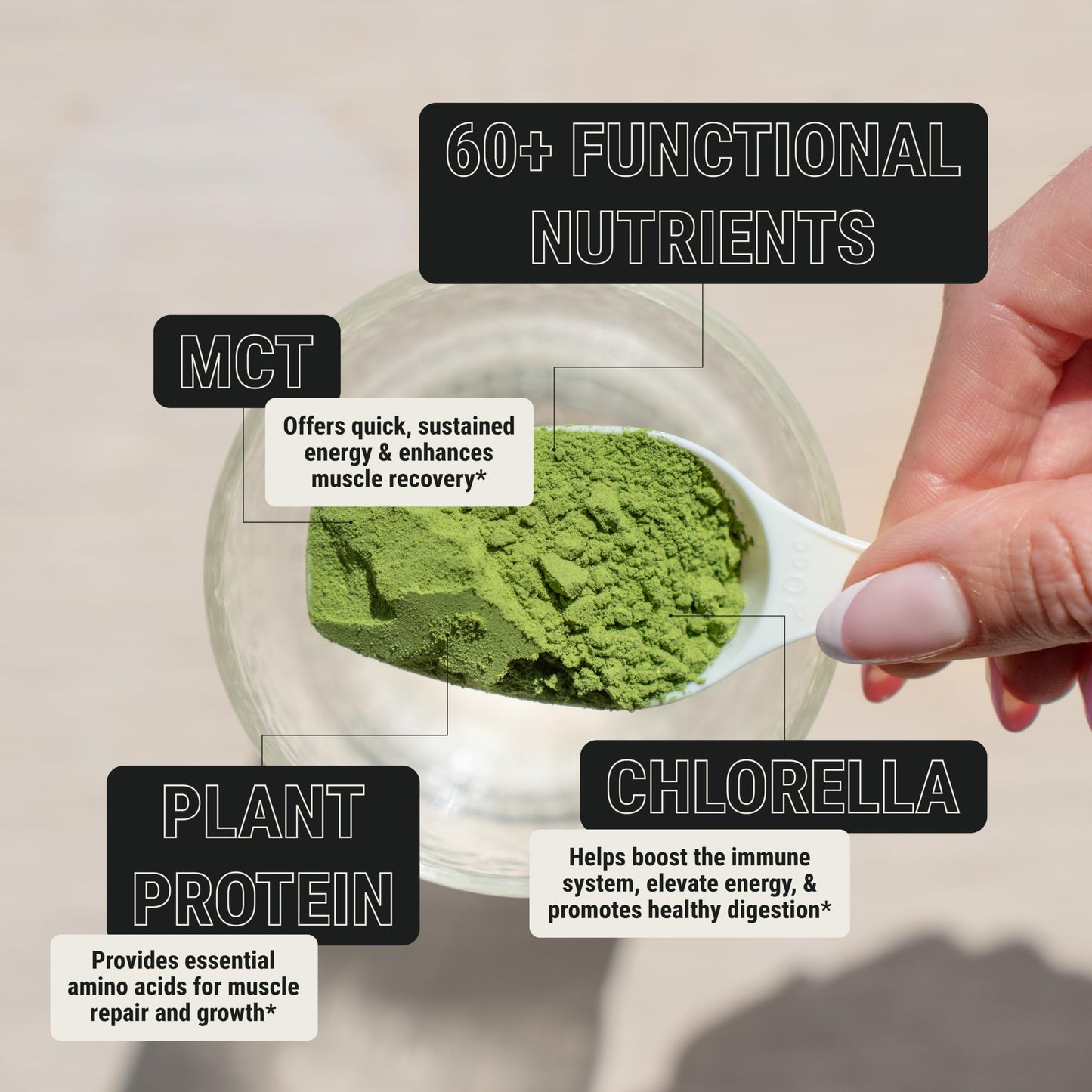 ON3 Athletic Protein Greens Supplement – Chlorella, Eleuthero & MCT Powder (5 Servings, Herbal)