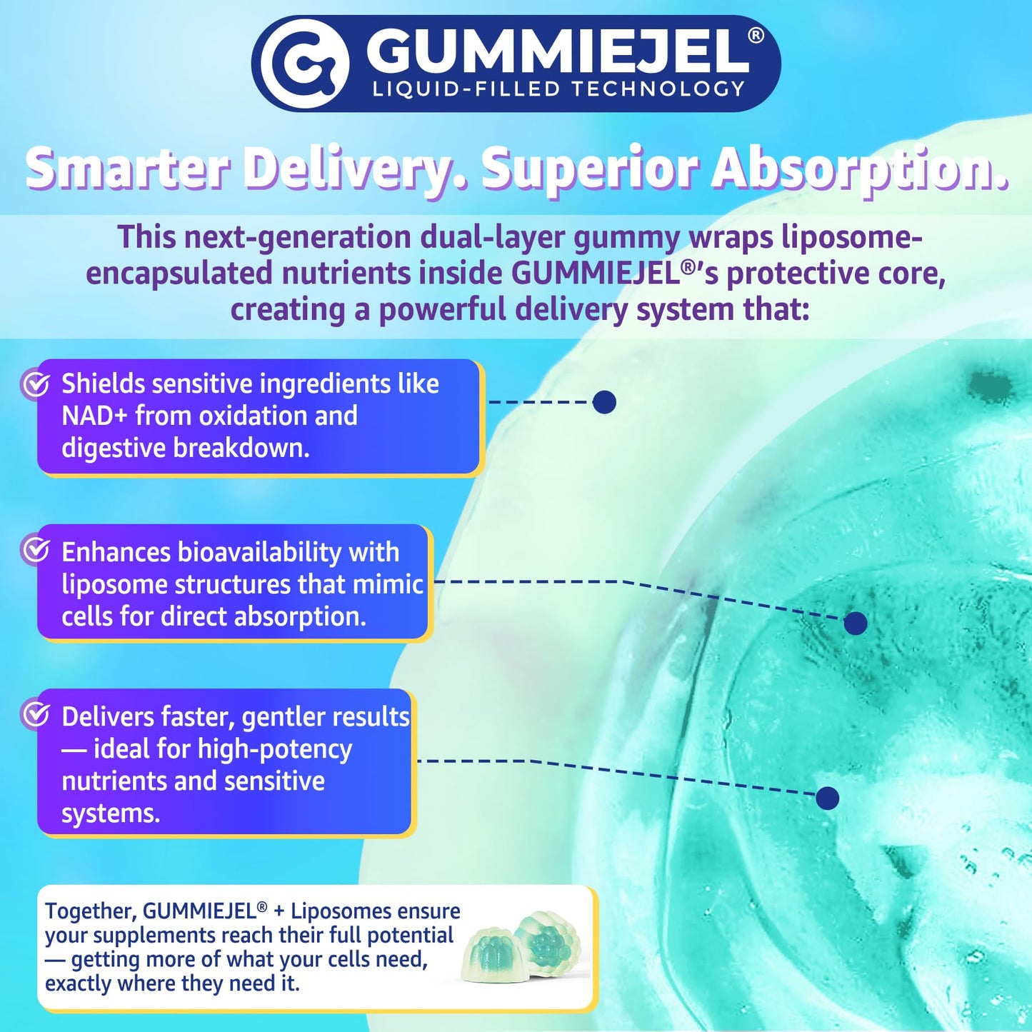 Liposomal NAD+ Gummies for Energy, Aging Defense & DNA Repair – 60 Count