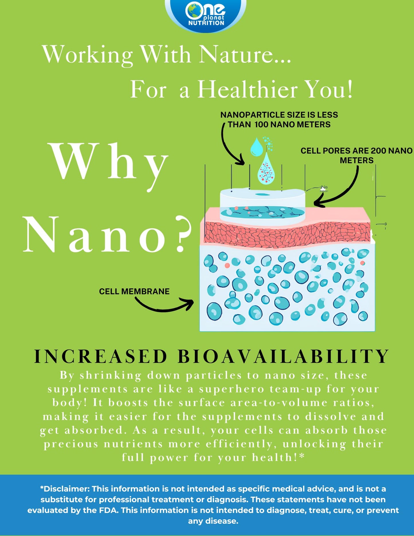 One Planet Nutrition Nano Curcumin 500 mg Veggie Capsules (60 Servings) – High Absorption