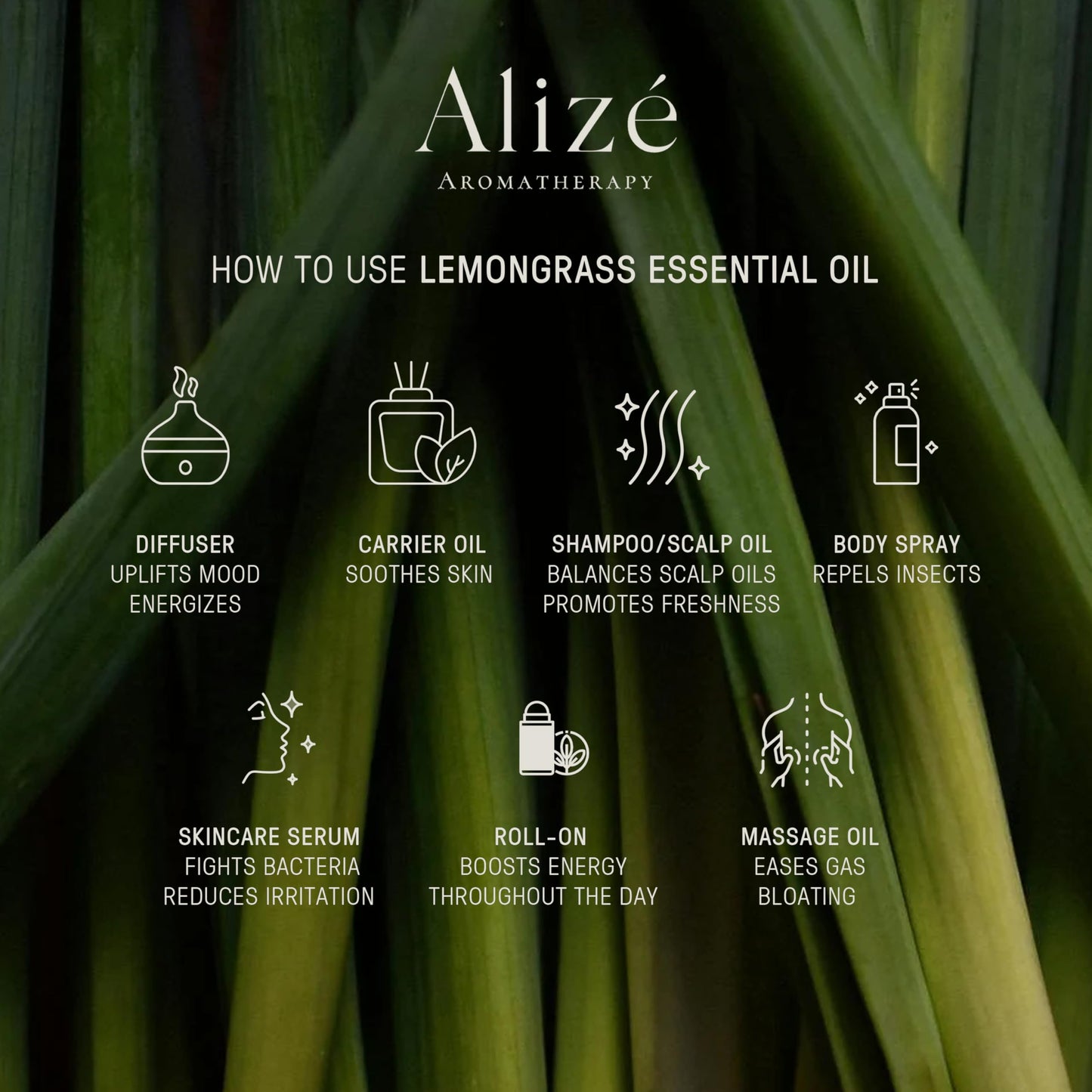 Organic Lemongrass Essential Oil, USDA Certified Organic 100% Natural & Pure Essential Oils for Diffusers for Home, Aromatherapy Oils, Diffuser Oils Scents, Refreshing, 10ml-0.33 fl oz